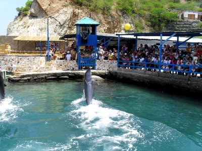 Acuario_el_rodadero