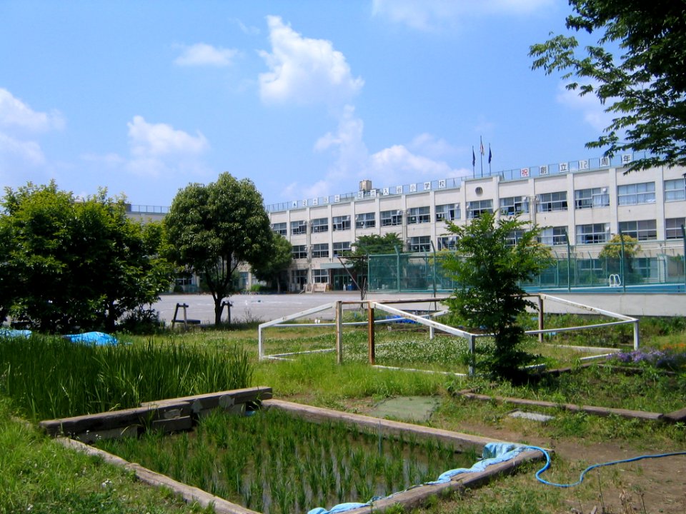Adachi_adachiiriya_elementary_school