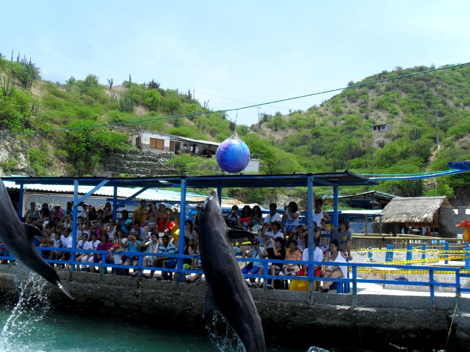 Acuario_el_rodadero1