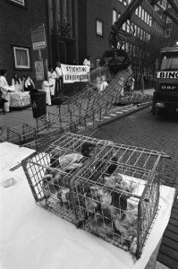 Actievoerder_van_Lekker_dier_laten_voor_ministerie_van_Landbouw_in_Den_Haag_50,_Bestanddeelnr_933-9550