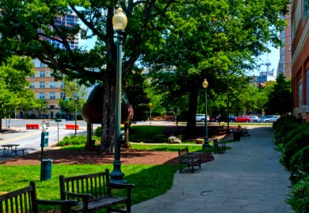 Acorn_Park_Silver_Spring_MD_Summer_2021_