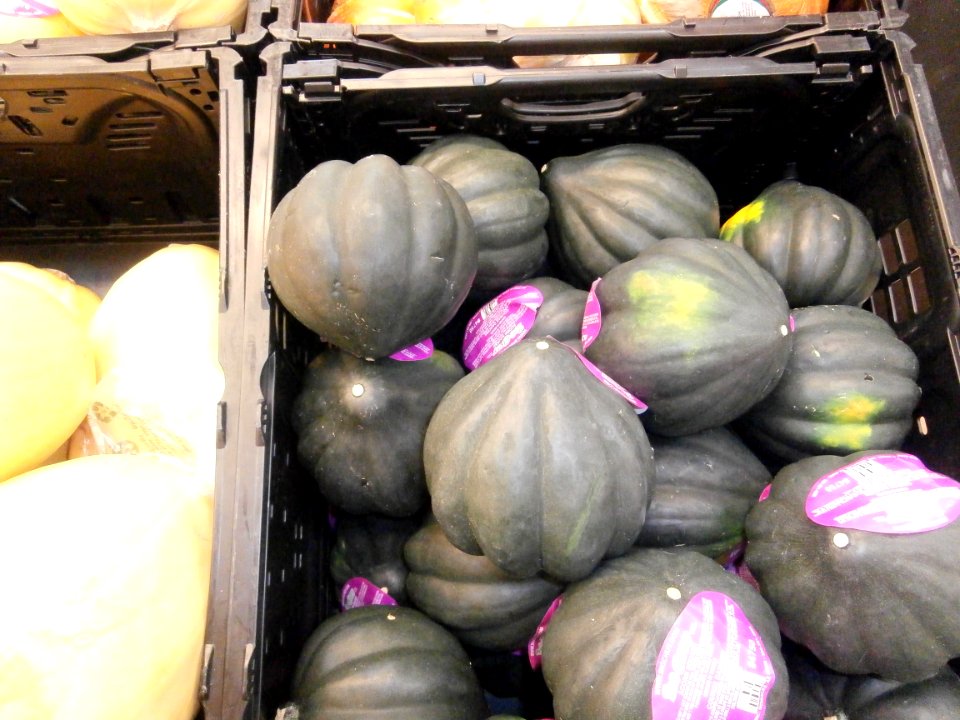 Acorn_squash_in_a_bin