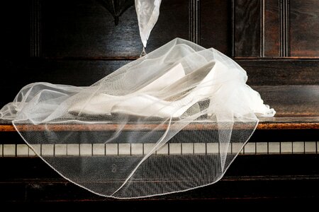 Elegant bridal veil wedding photo