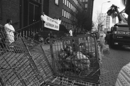 Actievoerder van Lekker dier laten voor ministerie va Landbouw in Den Haag 50 , Bestanddeelnr 933-9551
