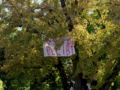 Activists on a tree next to the Reichtstag building 05 photo