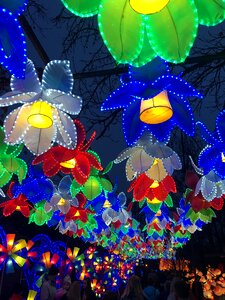 Decoration creative night