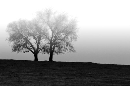 Landscape rural black and white photo