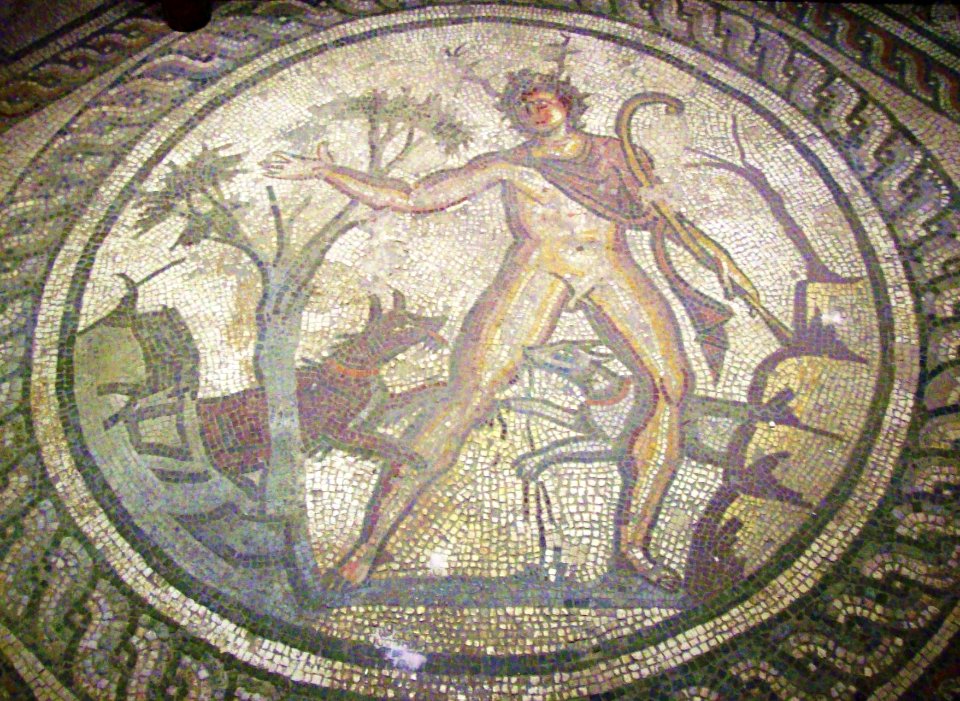 Actaeon mosaic, Corinium Museum
