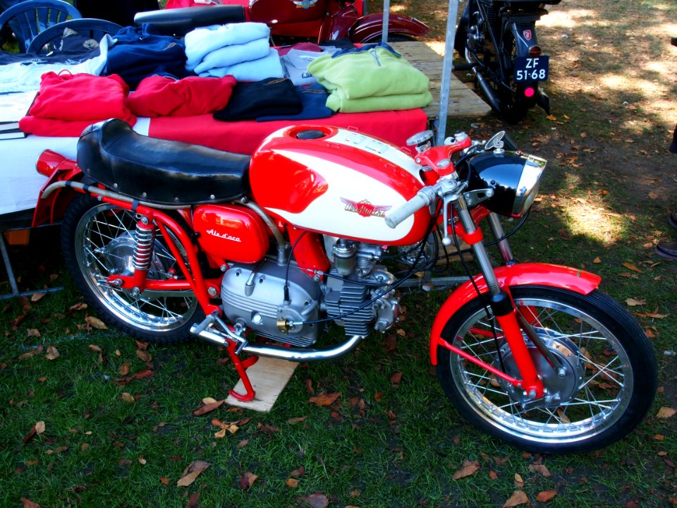 Aermacchi Ala D'oro pic1