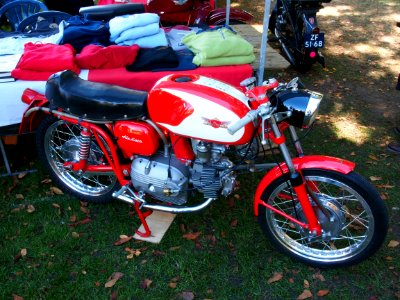 Aermacchi Ala D'oro pic1