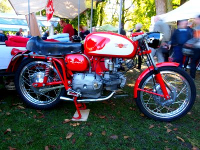 Aermacchi Ala D'oro pic3