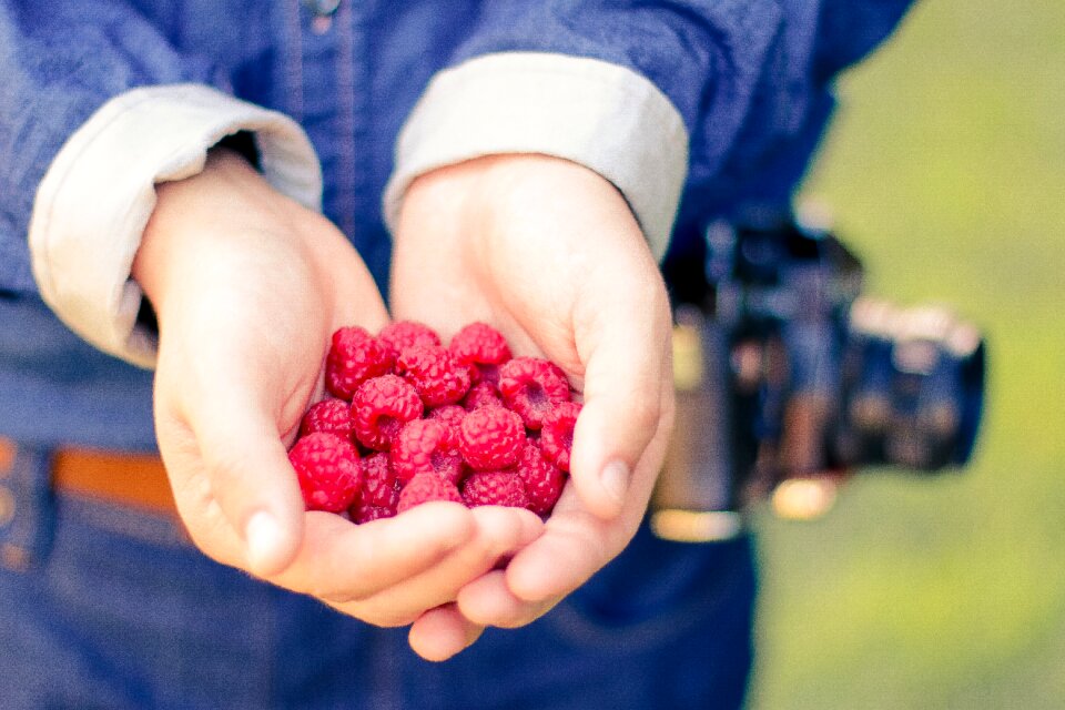 Hands fruits raspberries