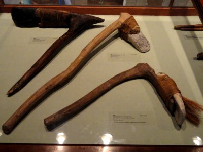 Adzes, Marshall and Yap Islands - Pacific collection - Peabody Museum, Harvard University - DSC05732