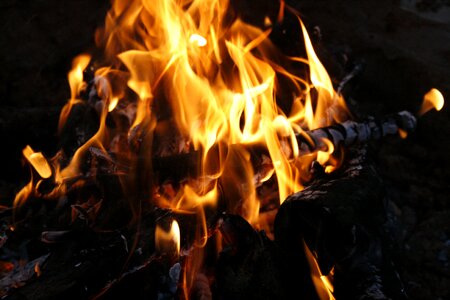Burn campfire smoke photo
