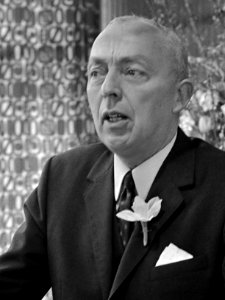 Adrianus Gerard Vermeulen (1971)