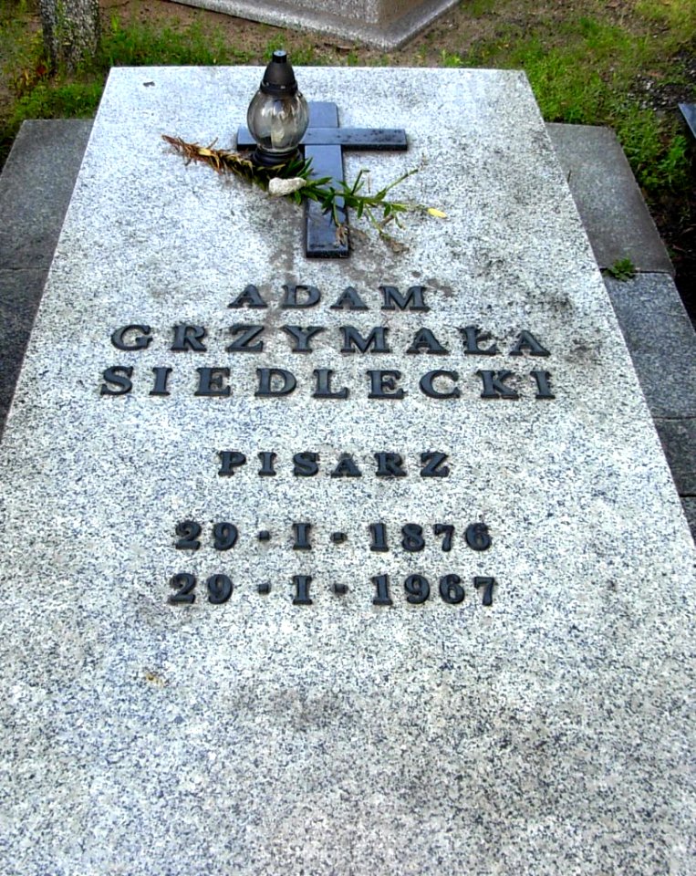 Adam Grzymała-Siedlecki - nagrobek