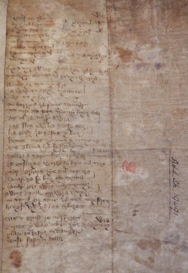 Add. Ch. 19491 (detail of Cornish text)