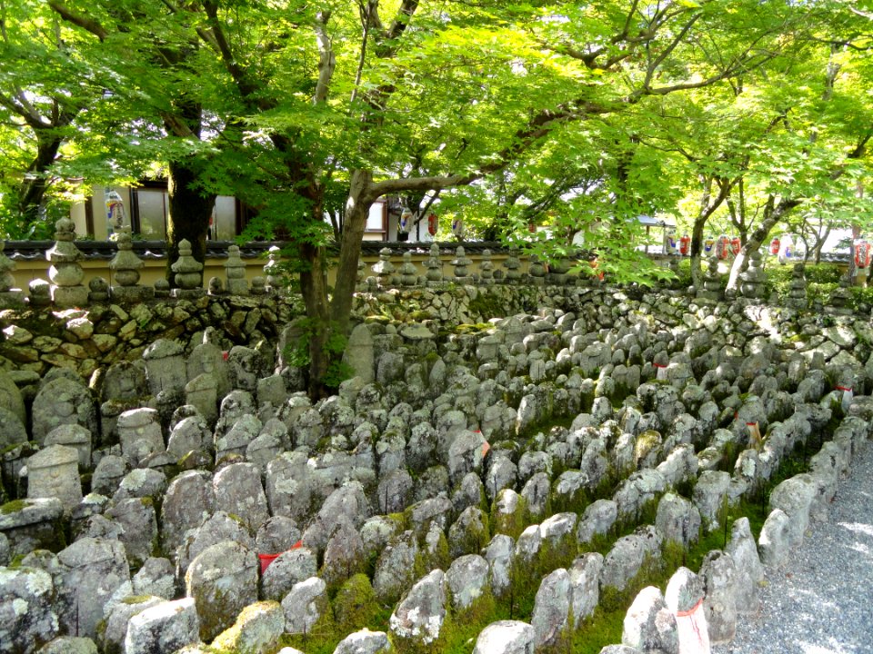 Adashino-nenbutsuji - DSC06339