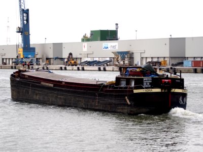 Adria (ship, 1928), ENI 04304340, Port of Antwerp pic7