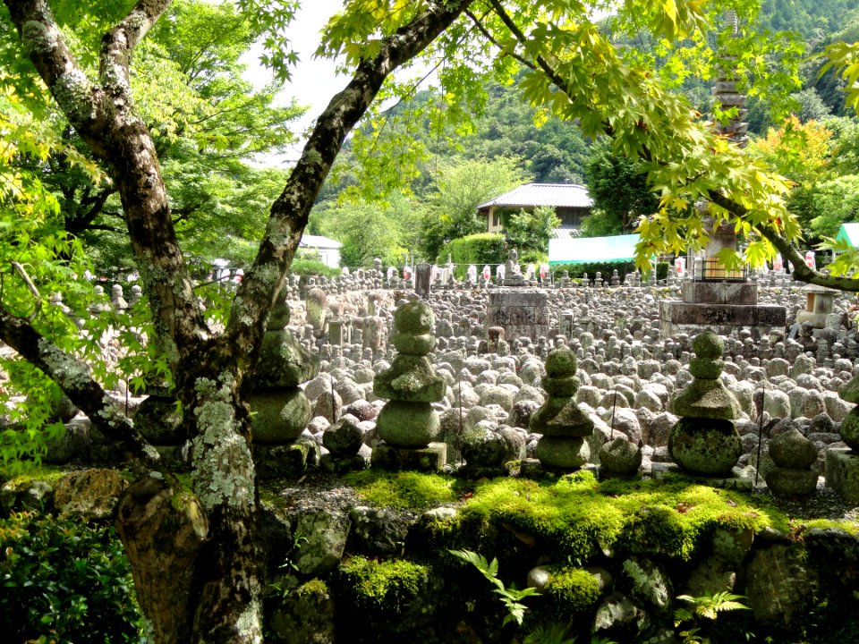 Adashino-nenbutsuji - DSC06344