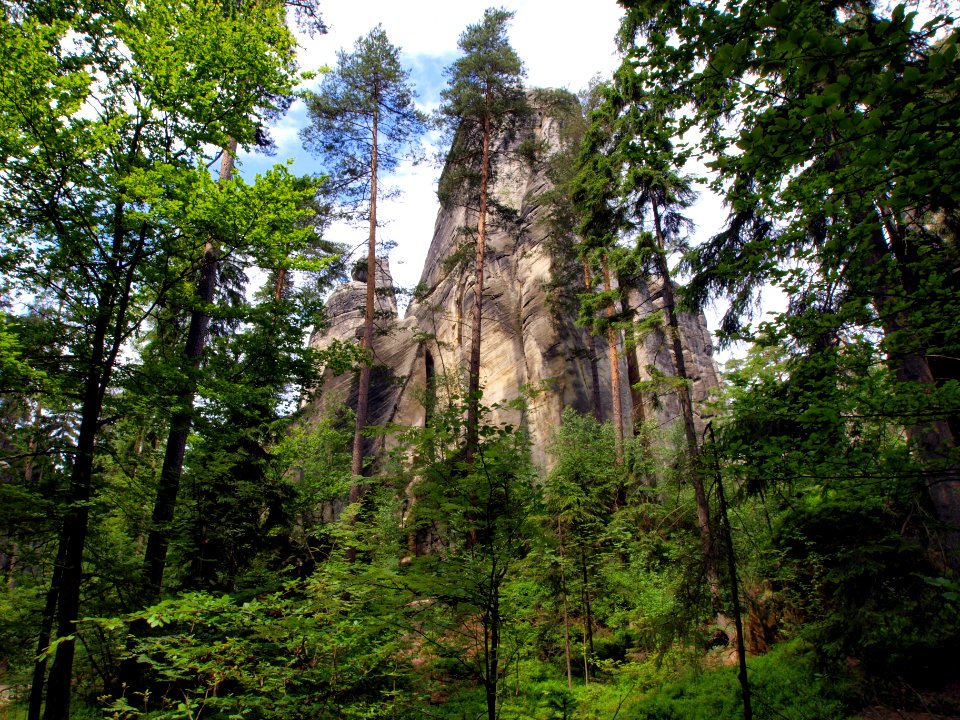 Adršpašsko-teplické skály picture-003