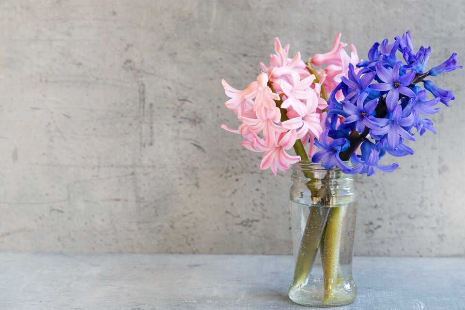 Blue vase glass photo