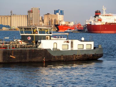 Admiral (ship, 2008) - ENI 02331246, Port of Antwerp pic3