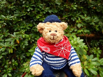 Bears map greeting