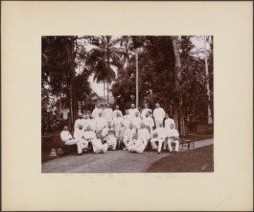 Administrateurs Deli Maatschappij 1893, Bestanddeelnr 857 P31