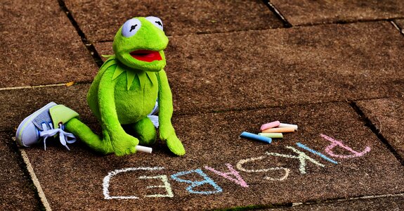 Frog chalk paint photo