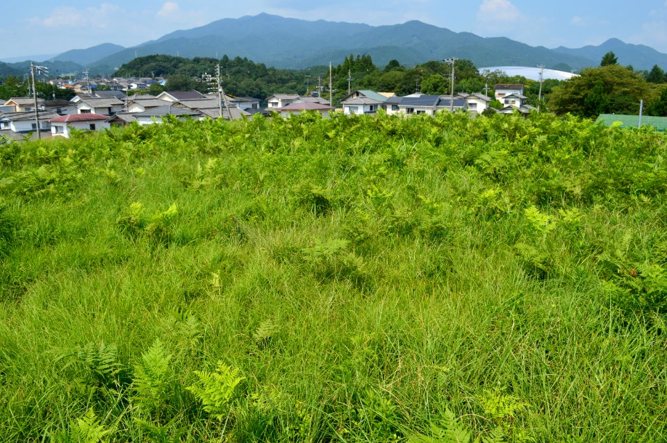 Akeai Kofun, funcho