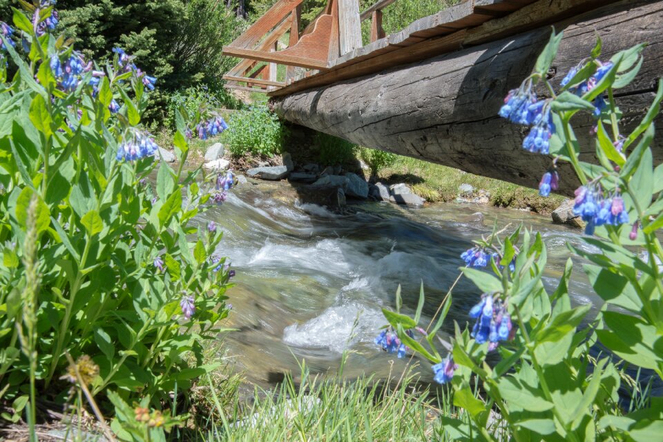 Spring water outdoor