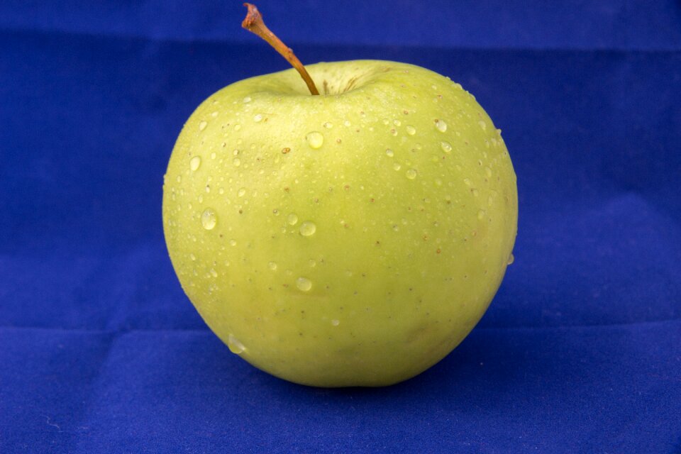 Food tasty nutrition
