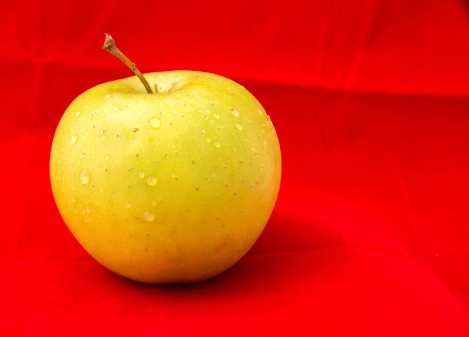 Food tasty nutrition