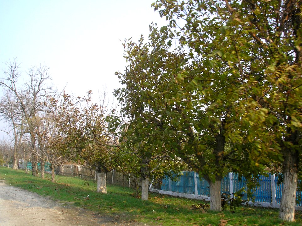 AkimovkaNizhnegorsk 9