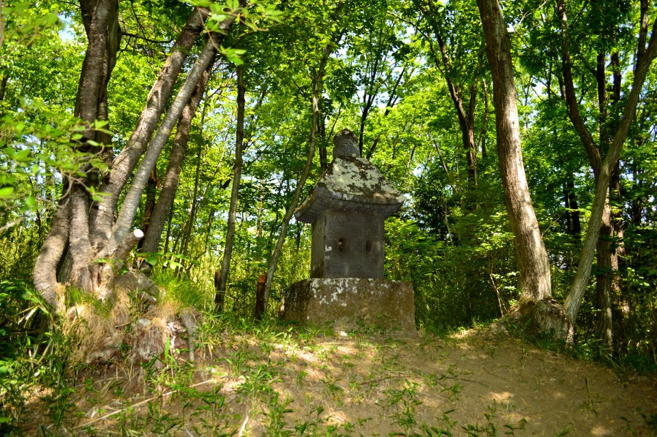 Akagi-jinja (Miyosawa) ishidono