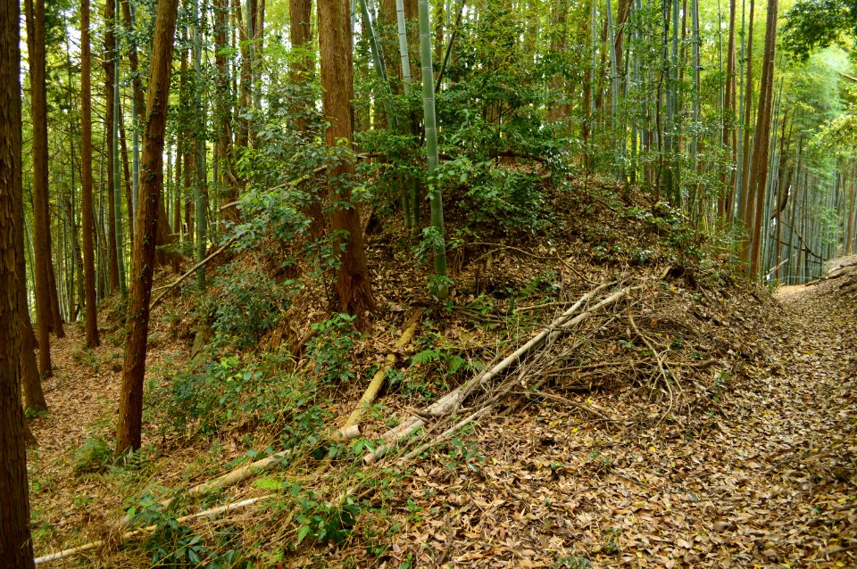 Akasaka Tennozan Kofun Group-2, funkyu