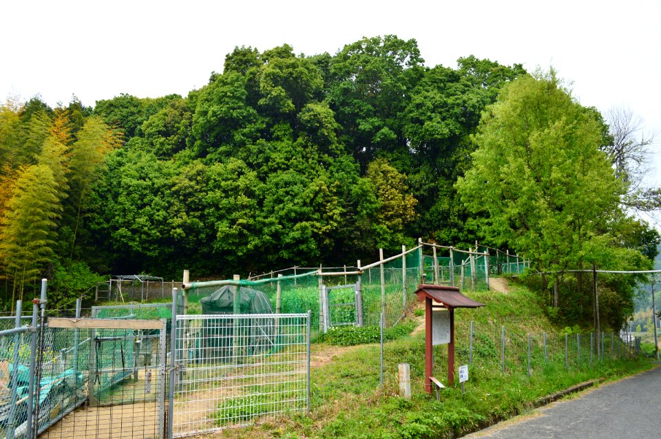 Akasaka Tennozan Kofun, enkei