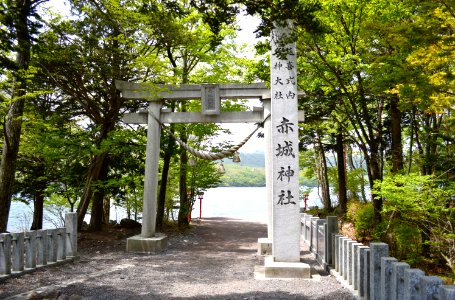 Akagi-jinja (Fujimi) torii