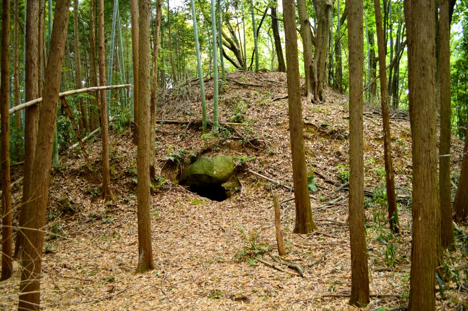 Akasaka Tennozan Kofun Group-3, funkyu