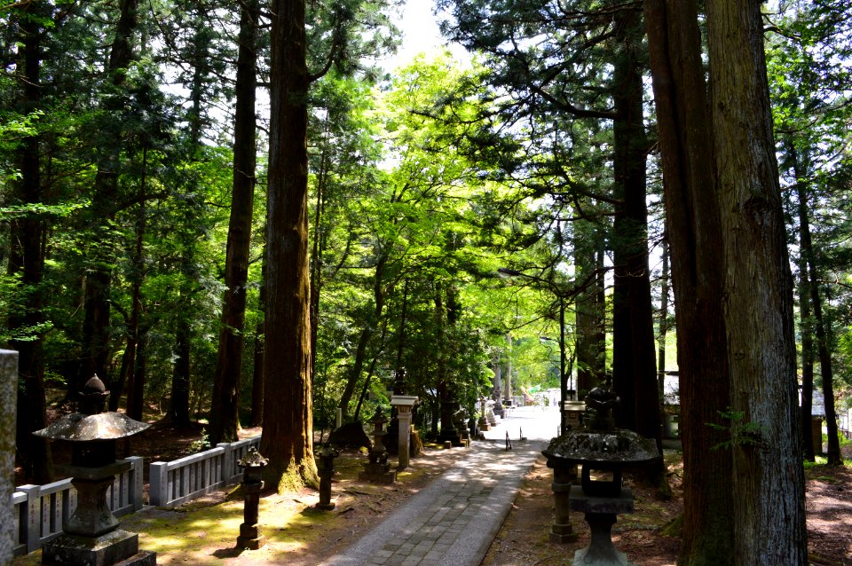Akagi-jinja (Miyosawa) keidaisandou