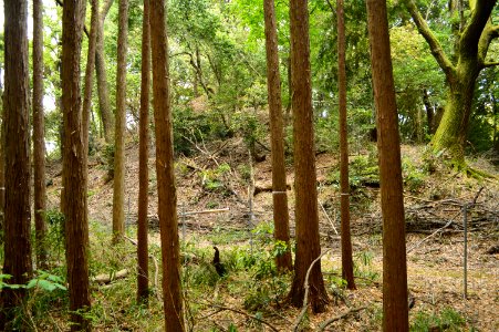 Akasaka Tennozan Kofun, funkyu