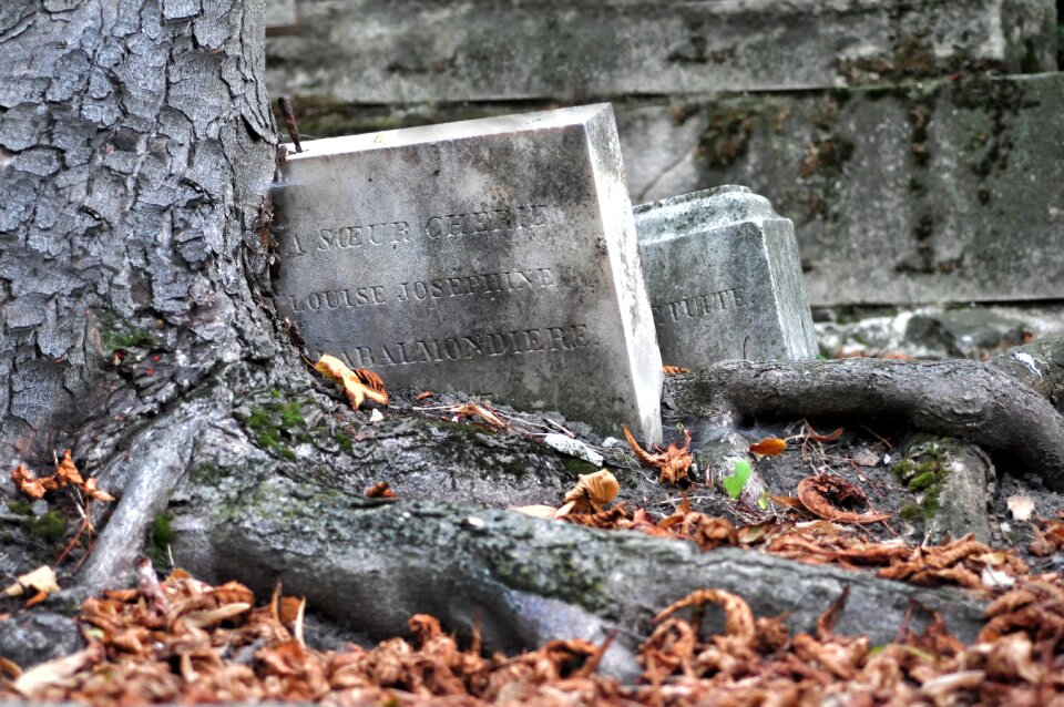 Disrepair old roots