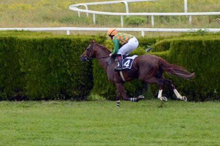 Jokey horses race photo