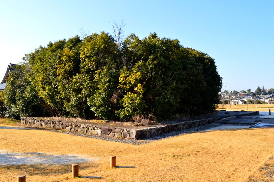 Aki Kokubunji-ato, koudou-2