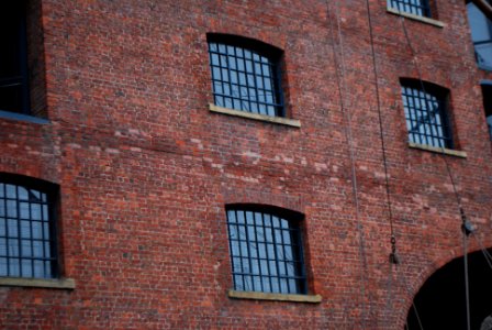 Albert Dock Windows