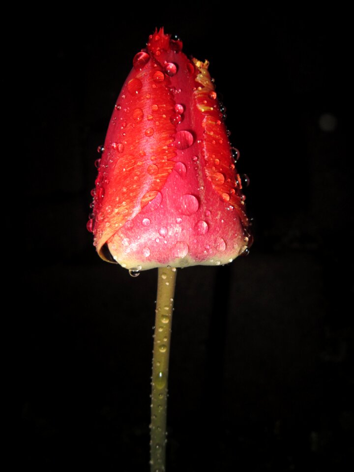 Red rain night