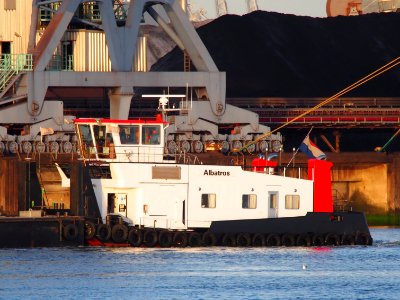 Albatros - ENI 02316862, Calandkanaal, Port of Rotterdam, pic2
