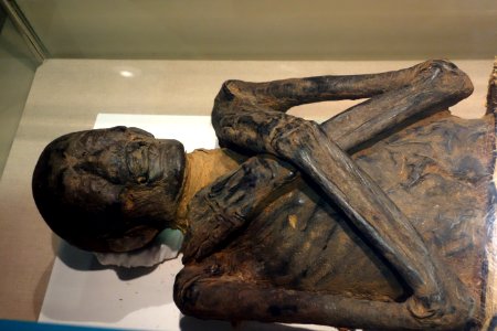 Albany Mummies, mummy 1, Egypt, Late Dynastic to Early Ptolemaic period, 525-200 BC - Albany Institute of History and Art - DSC08190