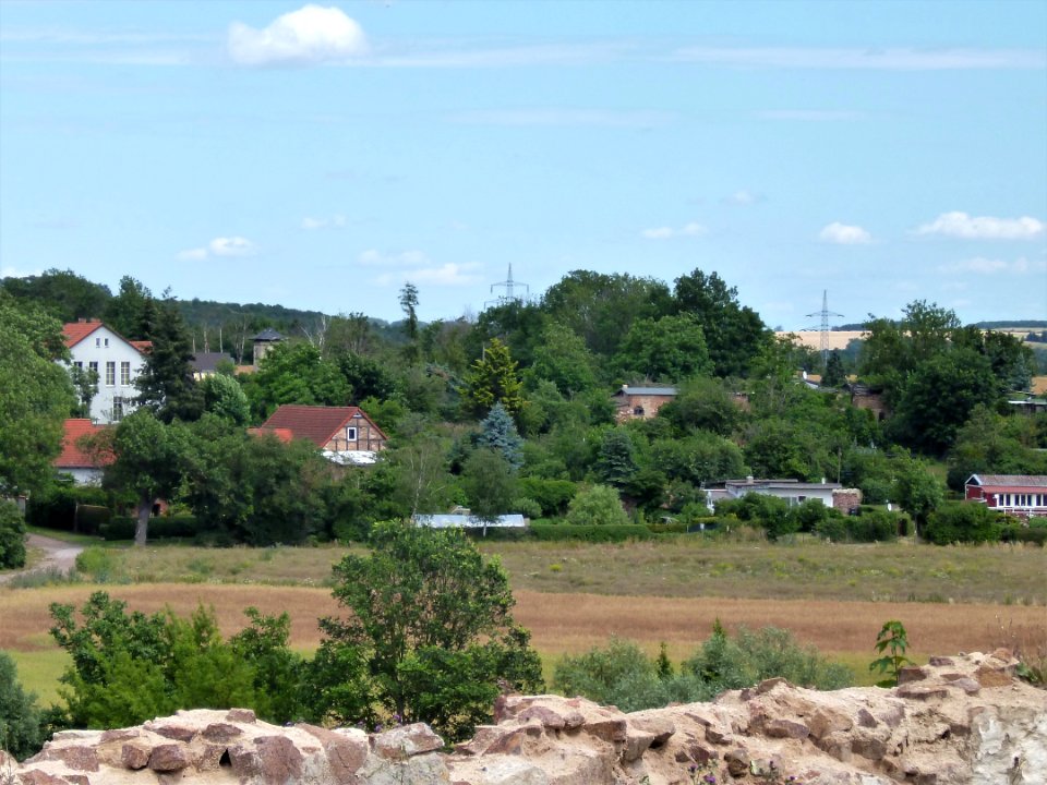 Alaune (Morl) von Lettin 1